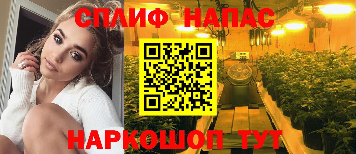МАРИХУАНА Amnesia  Бошки Шишки семена  Вход с VPN  Долгопрудный 